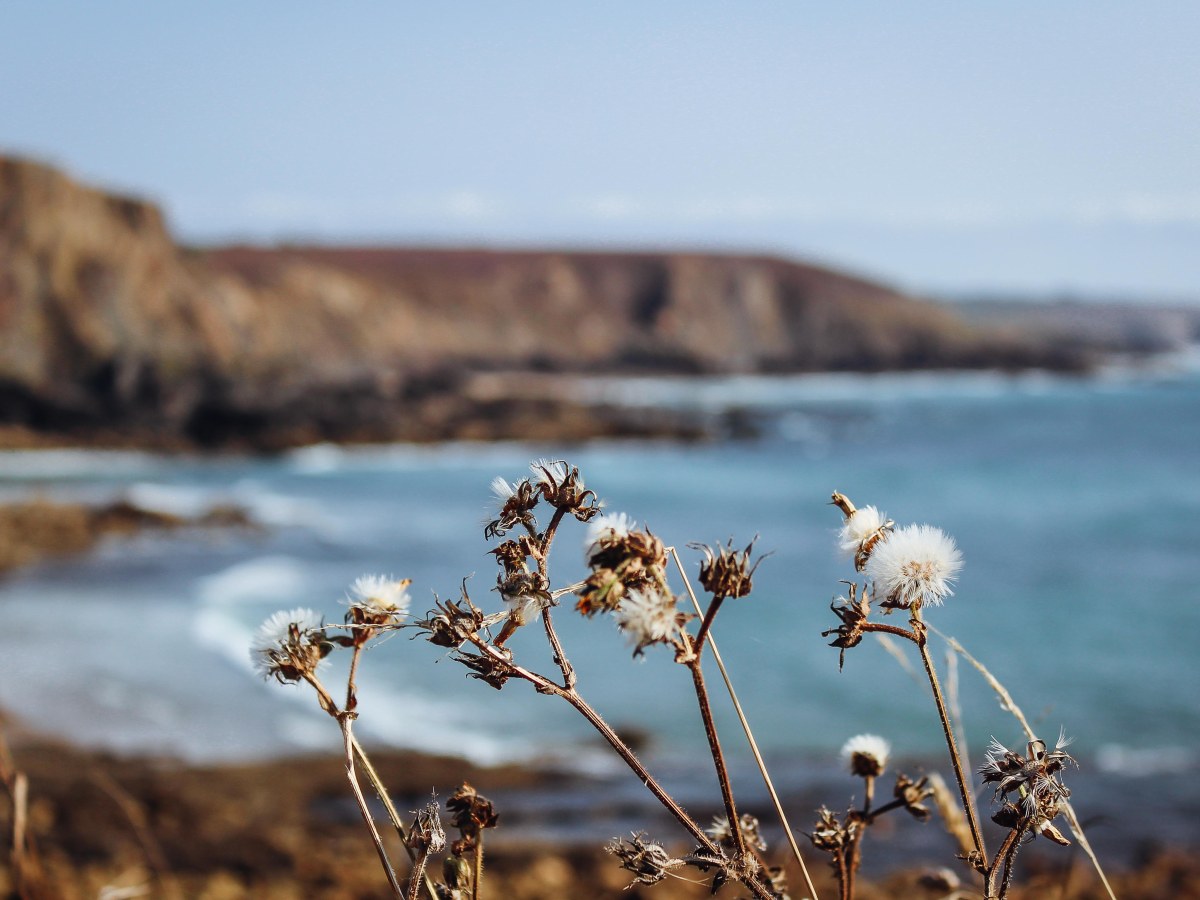Crozon en camping